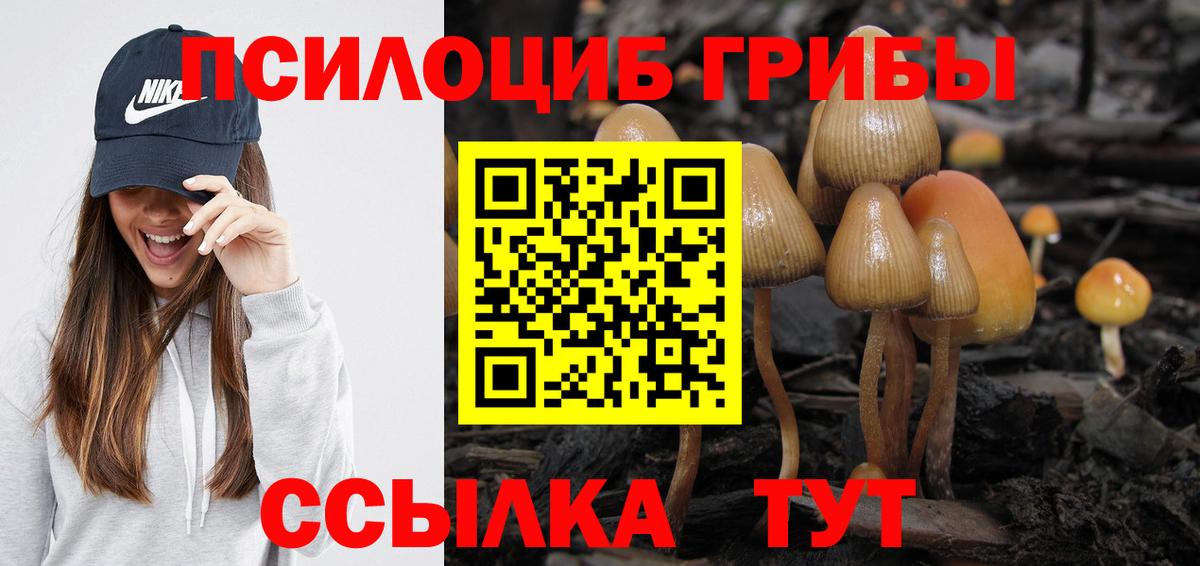 Псилоцибиновые грибы мицелий Димитровград