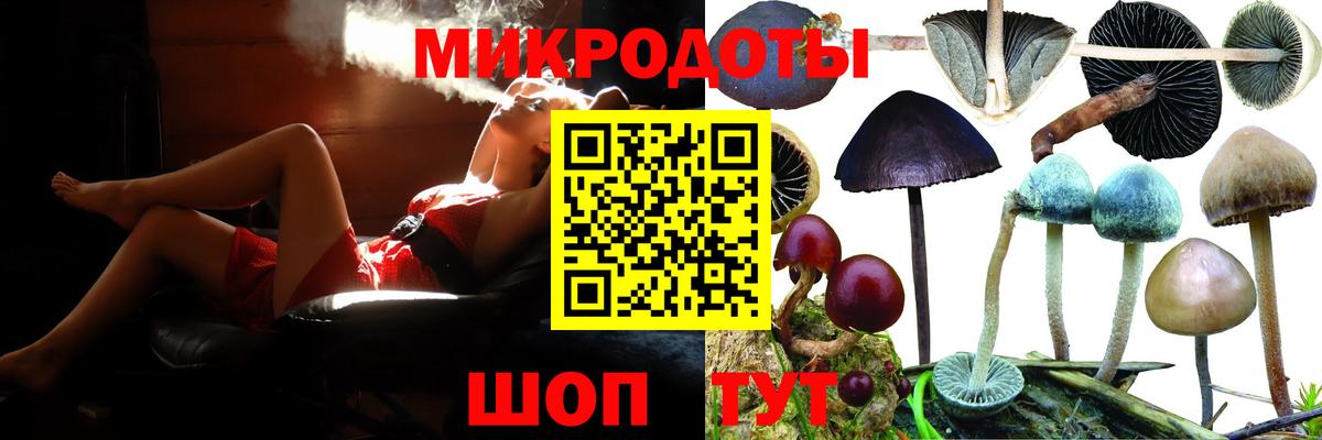 Псилоцибиновые грибы Cubensis  Вход с VPN  Димитровград 